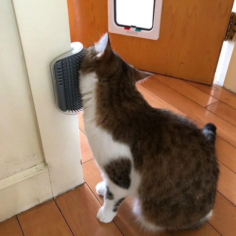 Escova Massageadora de Parede para Gatos com Catnip - Erva De Gato